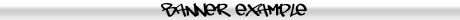 Banner Example